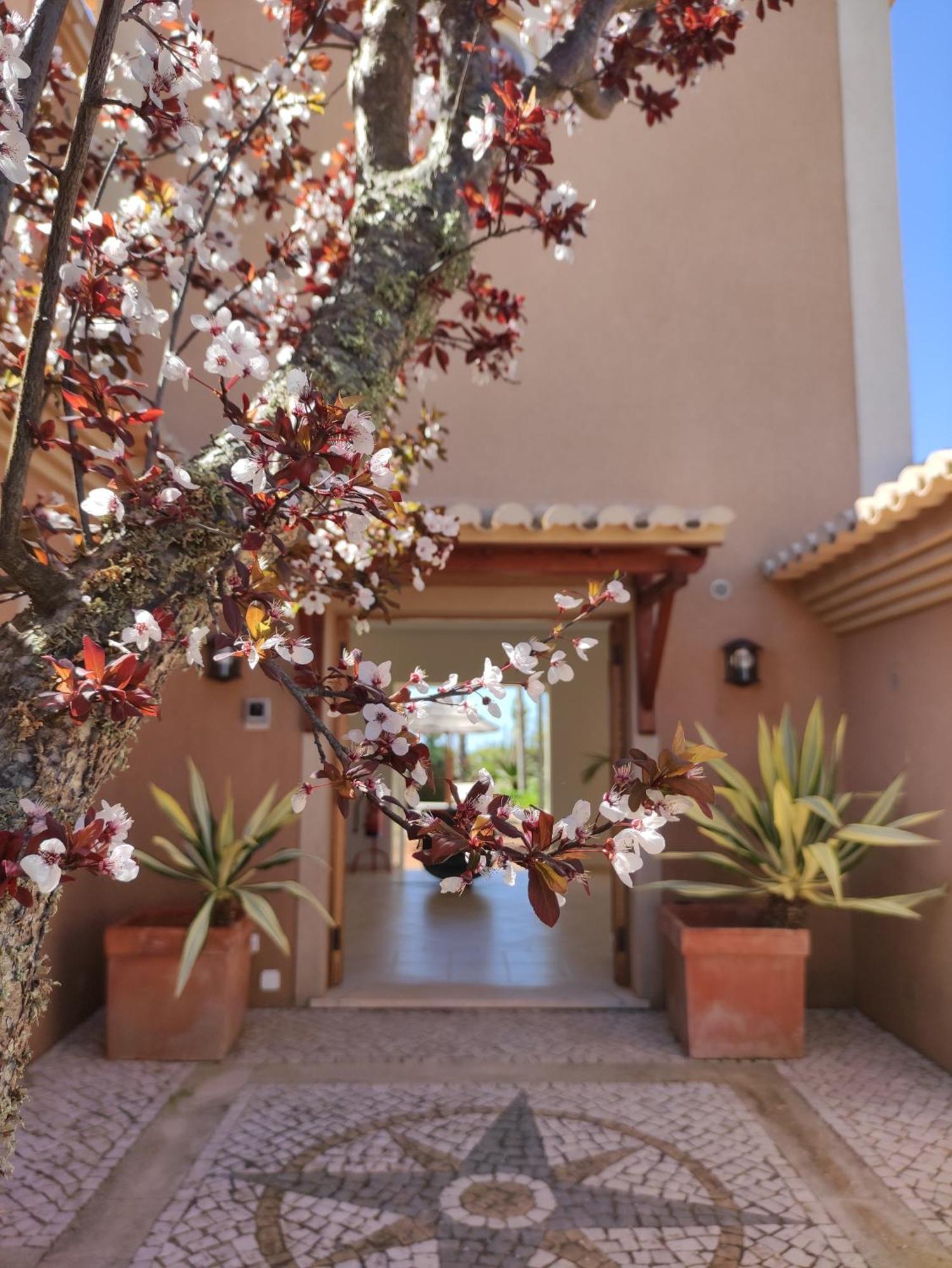Casa Canavial Praia Da Luz Exterior foto